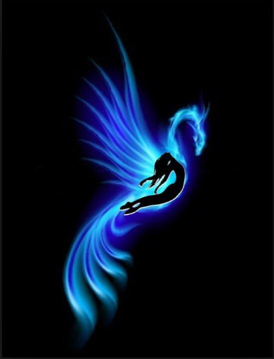Blue Phoenix